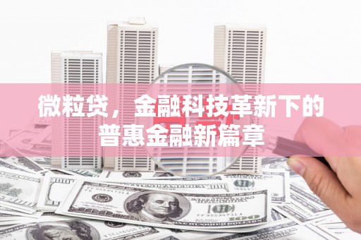 凌源微粒贷，金融科技革新下的普惠金融新篇章