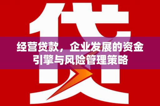 观音经营贷款，企业发展的资金引擎与风险管理策略