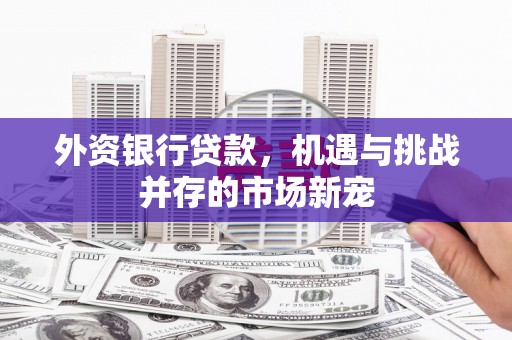 镜湖外资银行贷款，机遇与挑战并存的市场新宠