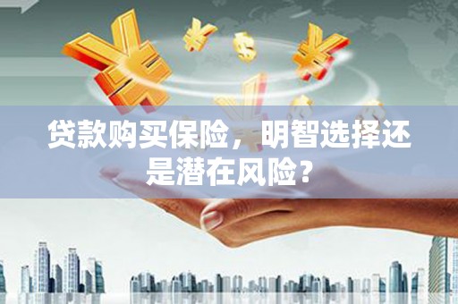 正阳贷款购买保险，明智选择还是潜在风险？