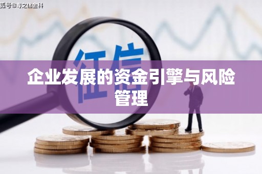 桃江企业发展的资金引擎与风险管理