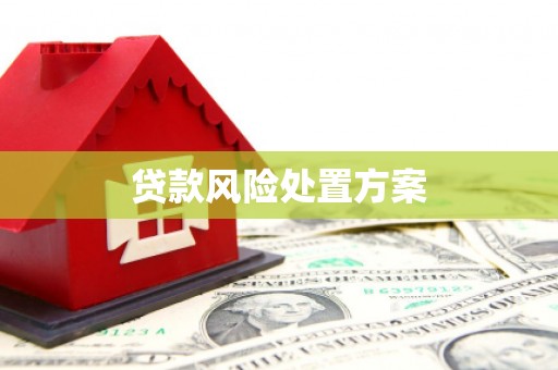 晋中贷款风险处置方案