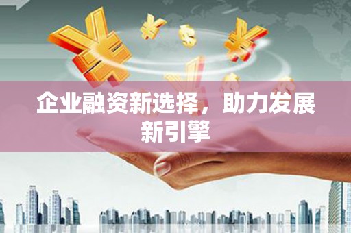 武平企业融资新选择，助力发展新引擎
