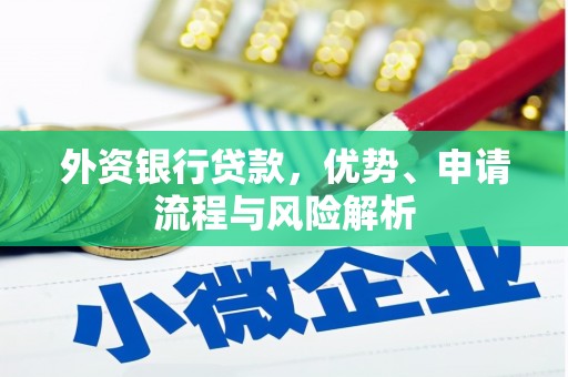 新泰外资银行贷款，优势、申请流程与风险解析