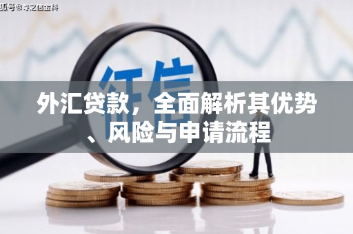 牟定外汇贷款，全面解析其优势、风险与申请流程