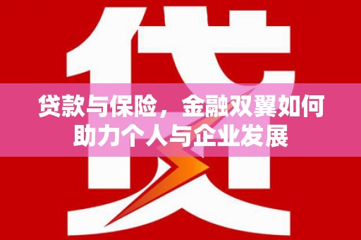 隆子贷款与保险，金融双翼如何助力个人与企业发展