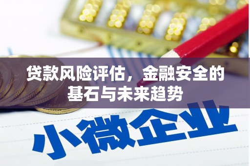 梧栖贷款风险评估，金融安全的基石与未来趋势