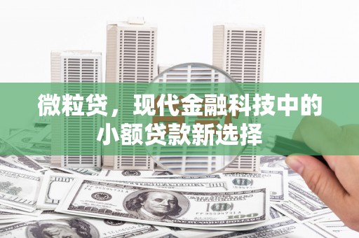 刚察微粒贷，现代金融科技中的小额贷款新选择