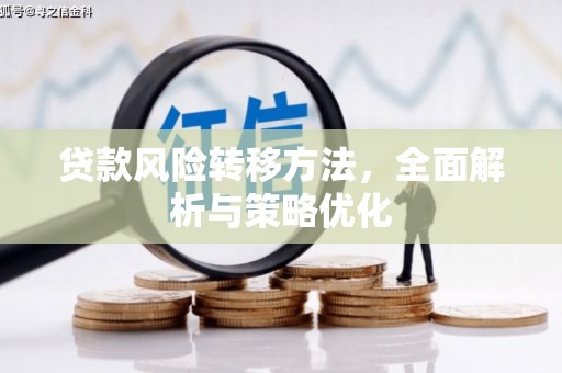 阳春贷款风险转移方法，全面解析与策略优化