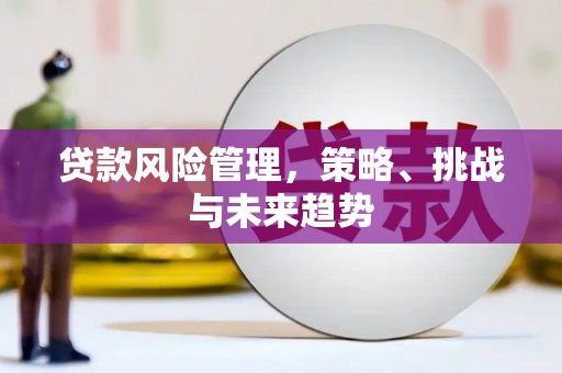 卓尼贷款风险管理，策略、挑战与未来趋势