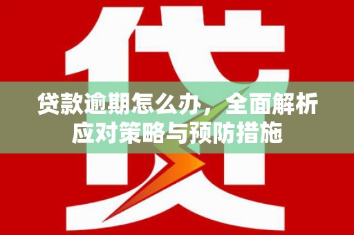 屏边贷款逾期怎么办，全面解析应对策略与预防措施