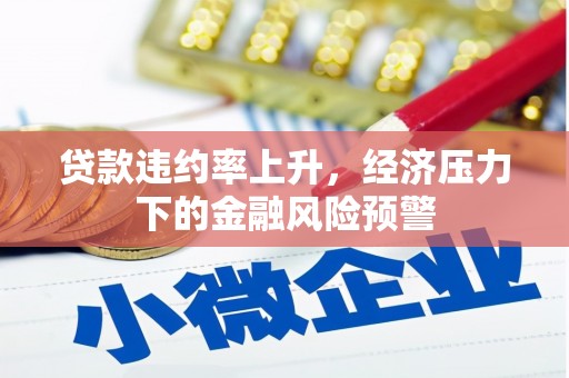 青阳贷款违约率上升，经济压力下的金融风险预警