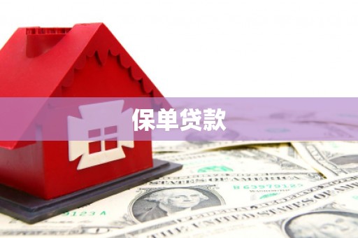 五桂山保单贷款