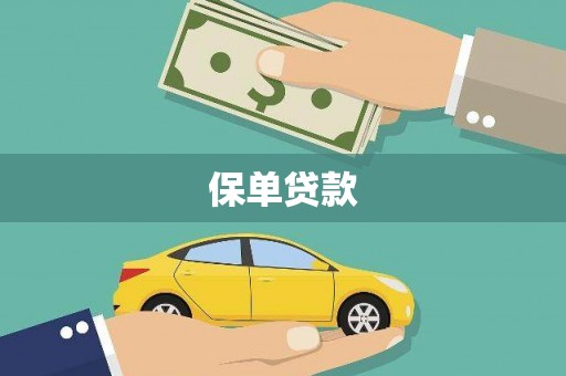 沿河保单贷款