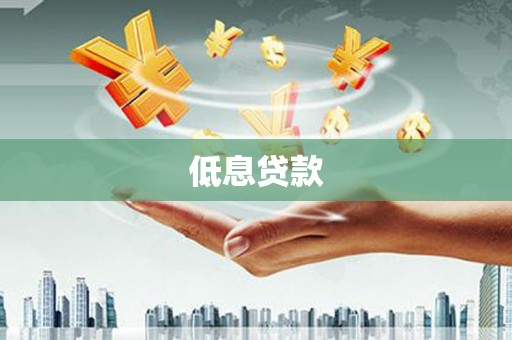东胜低息贷款