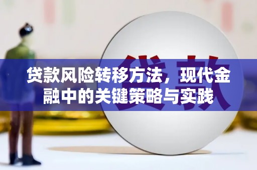 红星贷款风险转移方法，现代金融中的关键策略与实践