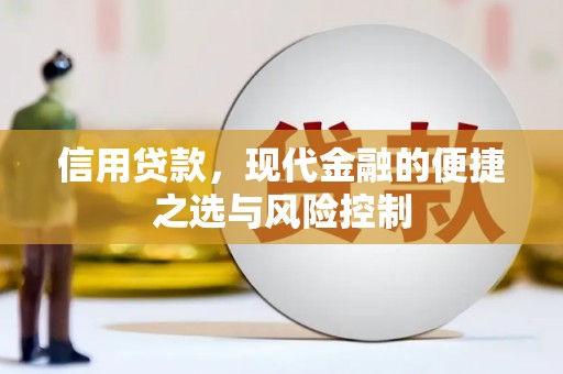 陆川信用贷款，现代金融的便捷之选与风险控制