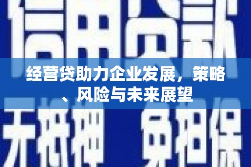 徐汇经营贷助力企业发展，策略、风险与未来展望