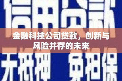 西陵金融科技公司贷款，创新与风险并存的未来