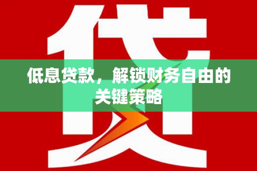 平舆低息贷款，解锁财务自由的关键策略