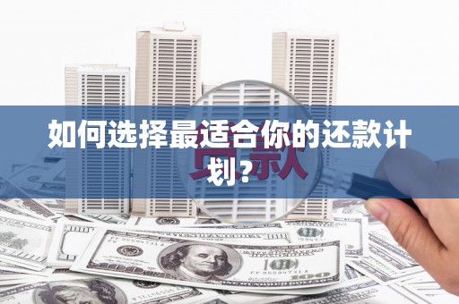 浉河如何选择最适合你的还款计划？