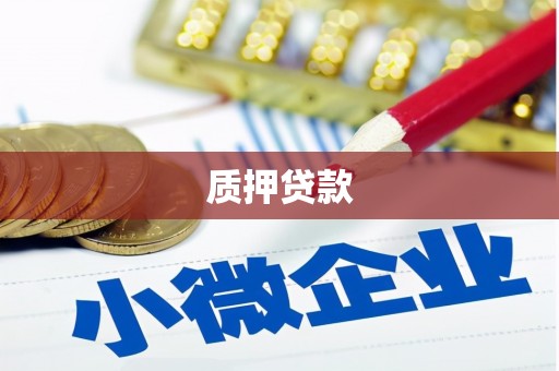 雨城质押贷款