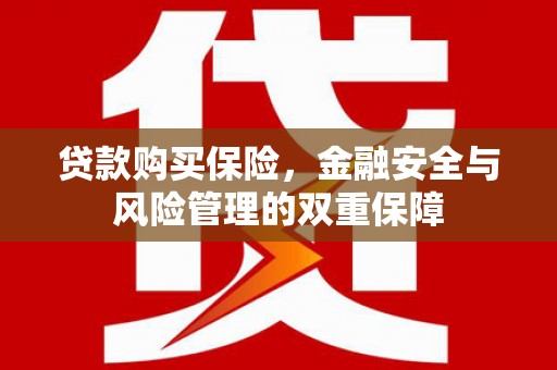 太白贷款购买保险，金融安全与风险管理的双重保障