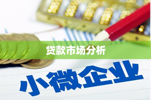 马边贷款市场分析