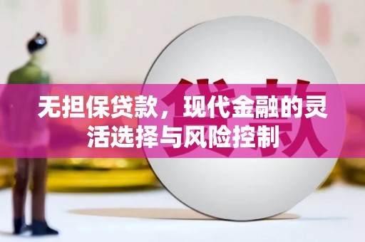 夏县无担保贷款，现代金融的灵活选择与风险控制