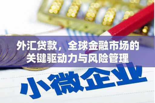 屯溪外汇贷款，全球金融市场的关键驱动力与风险管理