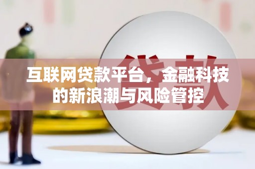 无为互联网贷款平台，金融科技的新浪潮与风险管控