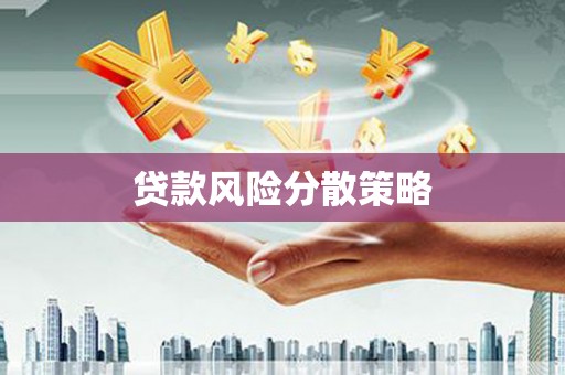新埔贷款风险分散策略