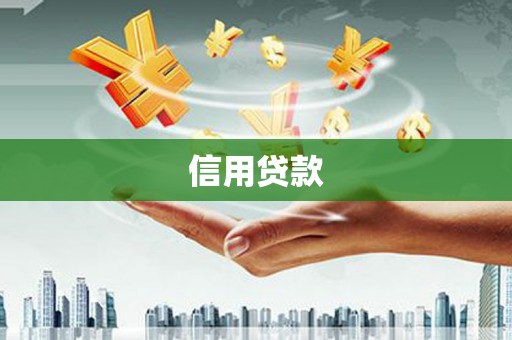 武平信用贷款
