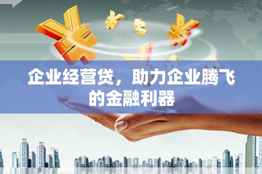 宝应企业经营贷，助力企业腾飞的金融利器