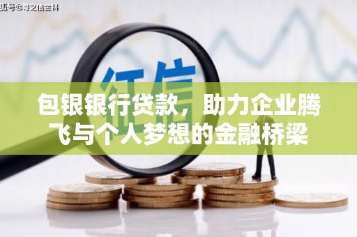 西林包银银行贷款，助力企业腾飞与个人梦想的金融桥梁