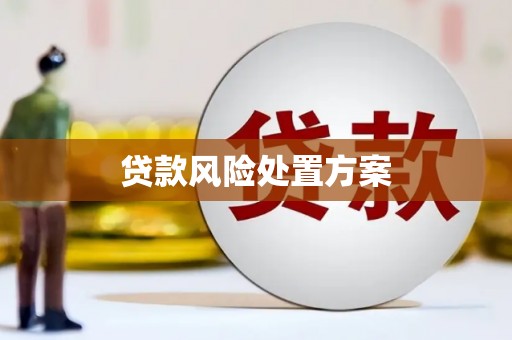 田林贷款风险处置方案