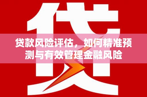 石拐贷款风险评估，如何精准预测与有效管理金融风险