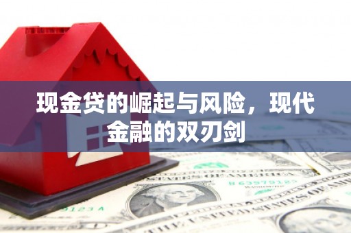 厦门现金贷的崛起与风险，现代金融的双刃剑