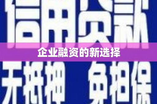 麟游企业融资的新选择
