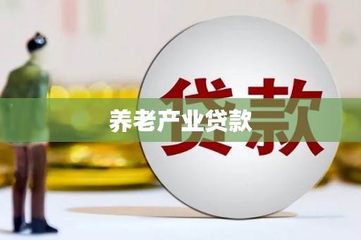 新园养老产业贷款
