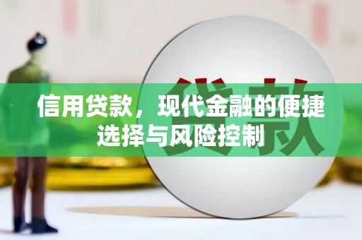 迁西信用贷款，现代金融的便捷选择与风险控制