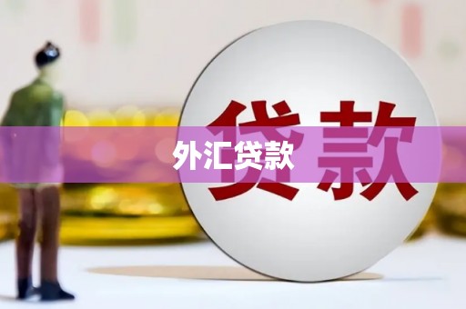 黄陂外汇贷款