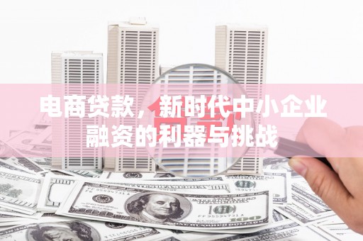 新林电商贷款，新时代中小企业融资的利器与挑战