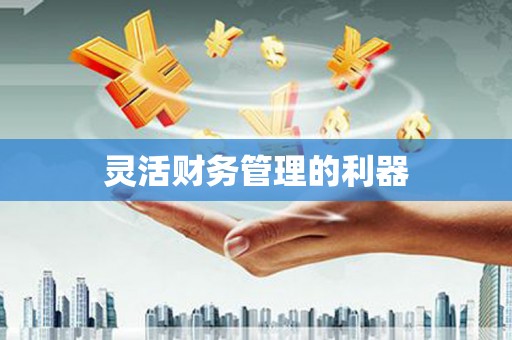 原平灵活财务管理的利器