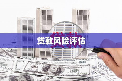 永济贷款风险评估