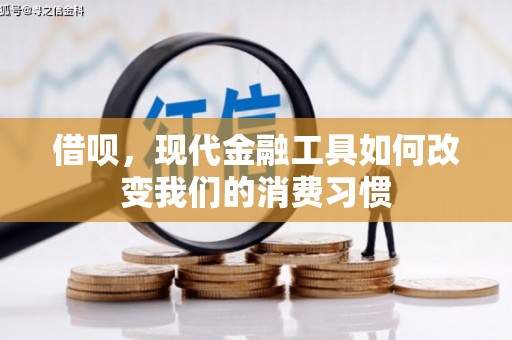 芙蓉借呗，现代金融工具如何改变我们的消费习惯