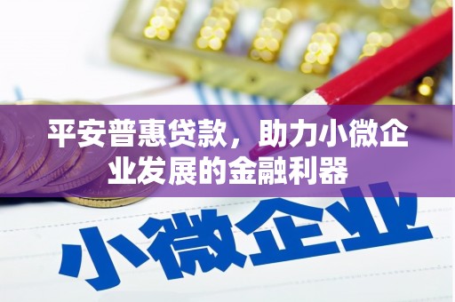 疏附平安普惠贷款，助力小微企业发展的金融利器