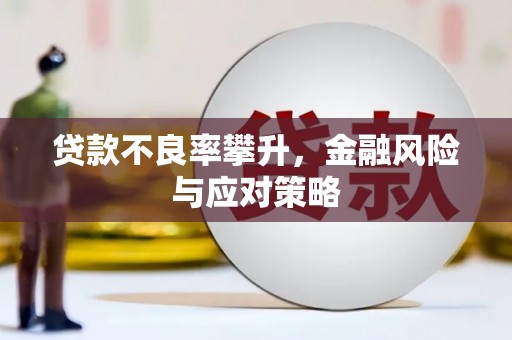 红寺堡贷款不良率攀升，金融风险与应对策略