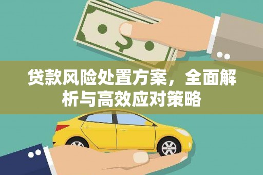 丹徒贷款风险处置方案，全面解析与高效应对策略