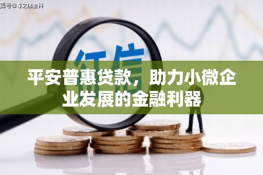 夏河平安普惠贷款，助力小微企业发展的金融利器